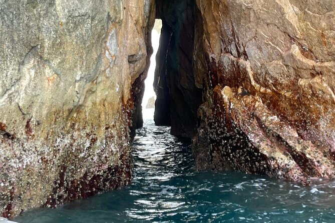 Shared Experience Glass Bottom Boat to the Arch in Cabo San Lucas - Price and value: is $15 per person worth it?