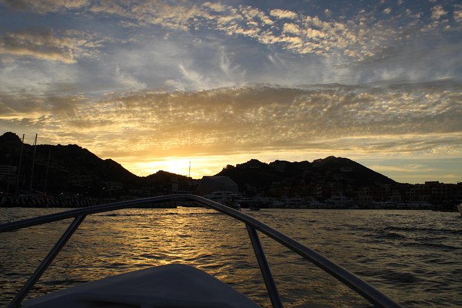 Shared ride to the arch of Cabo San Lucas - Wildlife spotting and the photo advantage