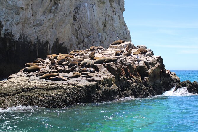 Shared Tour to the Arch of Cabo San Lucas - Photo Packages and Tips Without the Stress