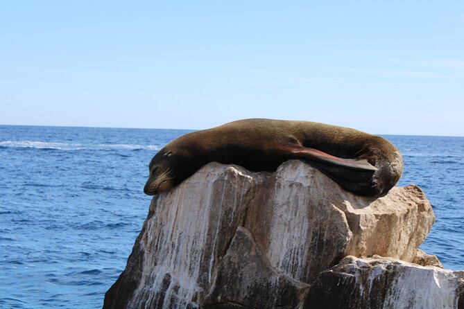 Shared Tour to the Arch of Cabo San Lucas - El Arco: The Archway at the Ocean Meeting Point