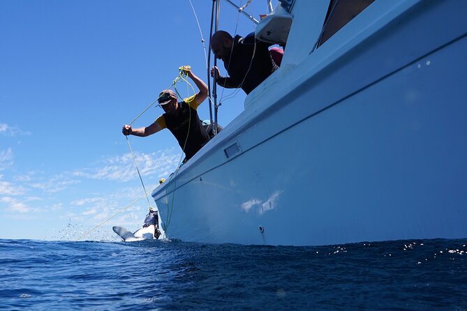 Shark Safari & Snorkel Adventure in Cabo San Lucas - Underwater photos and video: included value, not just a nice add-on