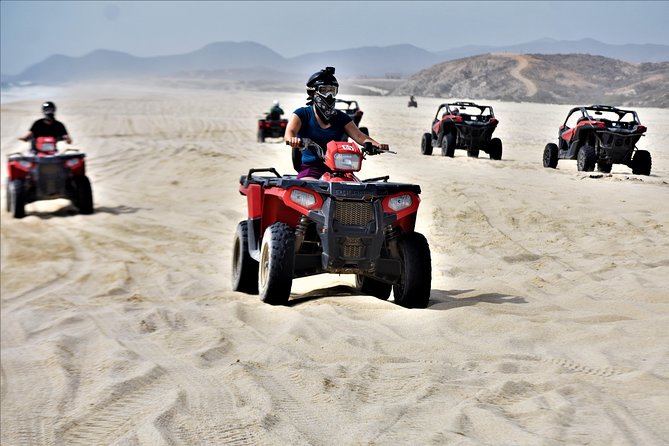 Single ATV Tour from Migriño Beach & Desert - Cactus Country: The 50+ Types Stop That Makes The Scenery Mean Something