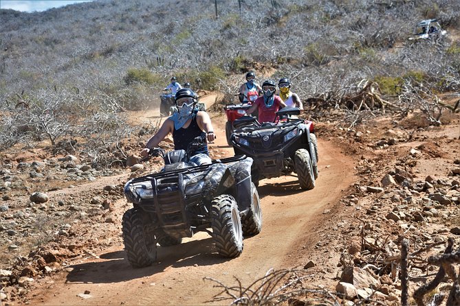 Single ATV Tour from Migriño Beach & Desert - Whale Season From Two Rest Stops: The Part You Can Hope For