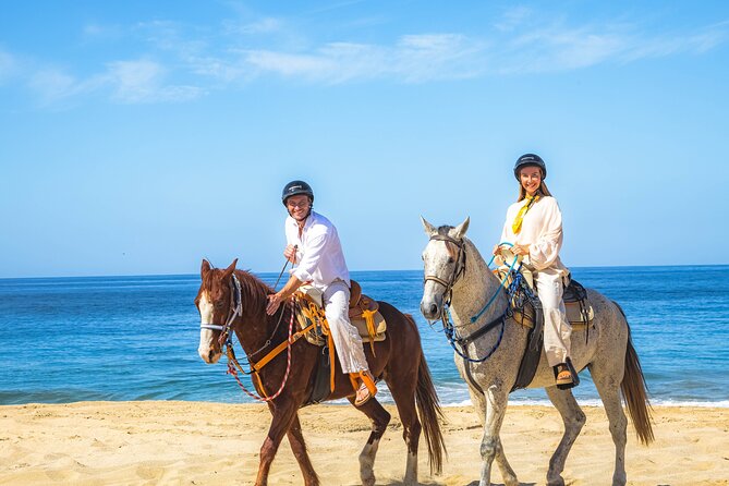 Sky Bike Free Camel Ride and Horseback Riding - Playa Migriño camel ride: where the beach timing feels special