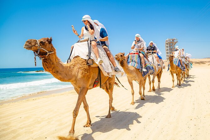 Sky Bike Free Camel Ride and Horseback Riding - Tequila tasting and the comforts that reduce stress