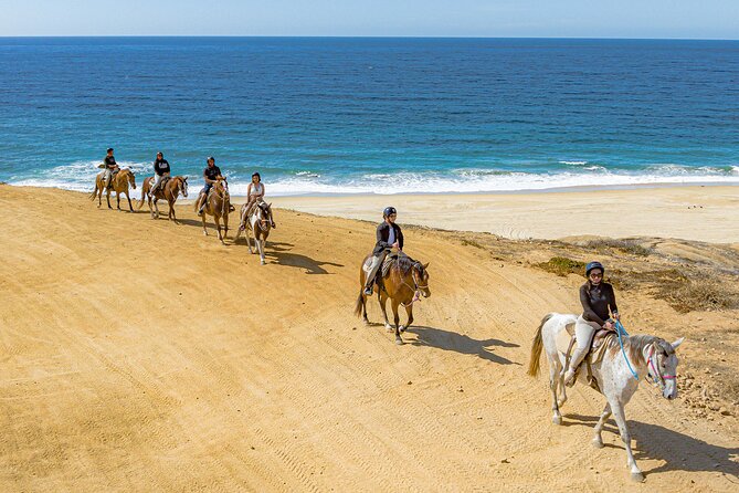 Sky Bike Free Camel Ride and Horseback Riding - Price and logistics: how the timing affects your day