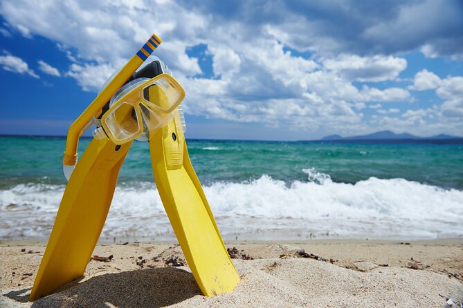 Small-Group Snorkel Adventure in San Jose del Cabo - Key highlights to know before you go