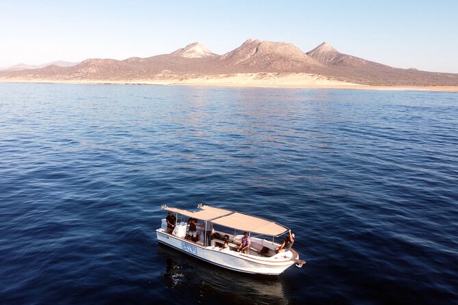 Small-Group Snorkel Adventure in San Jose del Cabo - Meeting point and timing: start at Salty Cabo, back the same day