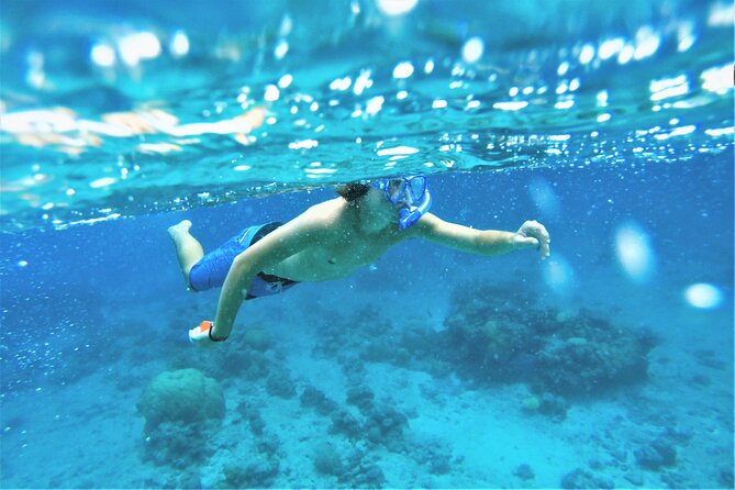 Snorkel Adventure through the Sea of Cortez - Stop: Sea of Cortez snorkeling—what you’re actually doing in the water