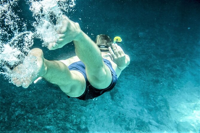 Snorkel Adventure through the Sea of Cortez - What’s included on board: lunch, purified water, and an open bar