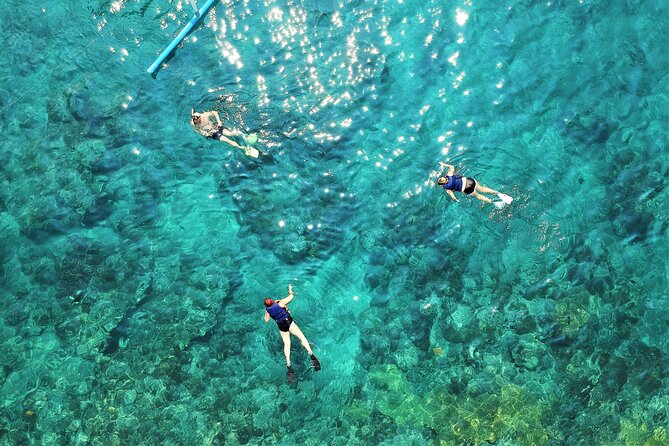 Snorkel Adventure through the Sea of Cortez - The real cost: dock fees and gratuities add up