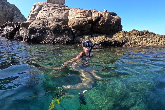 Snorkel and arch tour in los cabos - Starting at the Cabo San Lucas Marina: easy to board, not too hard to find