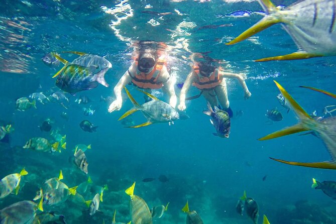Snorkel and arch tour in los cabos - Playa de los Amantes and the coastal storytelling from the boat