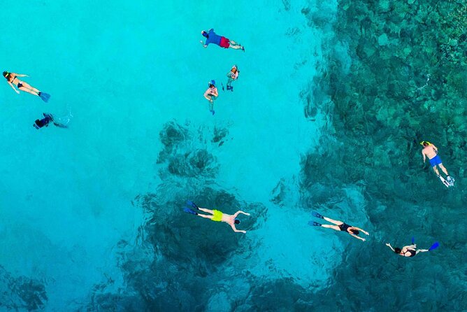 Snorkel and arch tour in los cabos - Pelican Rock snorkeling: what the 30–40 minutes is really for
