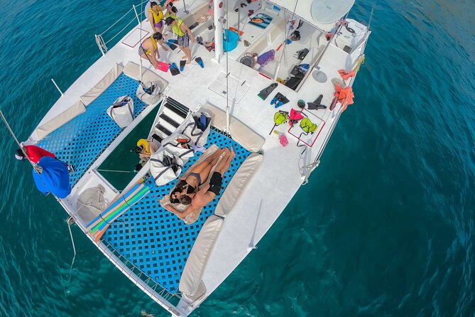 Snorkel Cruise in Los Cabos - Whales and Sea Lions: The Bonus Wildlife Moment
