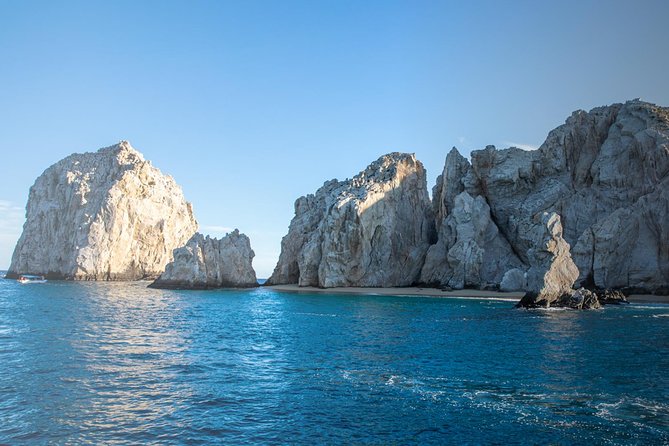 Snorkel & Explore Pelican Rock by Glass Boat + Photos - How the sea life experience changes at Pelican Rock