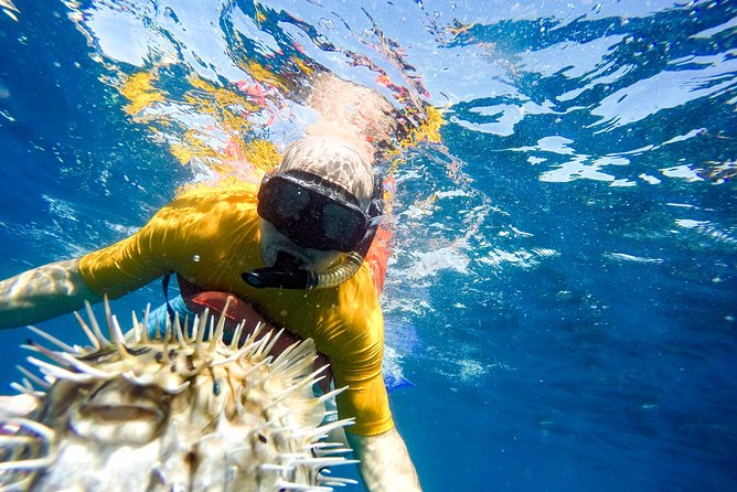 Snorkel & Explore Pelican Rock by Glass Boat + Photos - What snorkeling feels like: gear, guide support, and water time