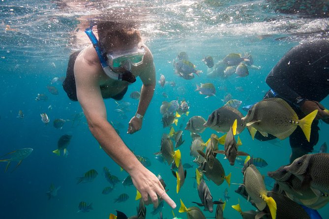 Snorkel & Explore Pelican Rock by Glass Boat + Photos - Sea conditions, safety vibe, and how the crew manages the day