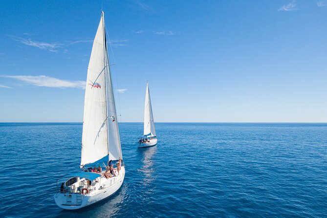 Snorkel in Luxury Sailing Boat + Food and Premium drink! - Food, Snacks, and Premium Drinks: What Changes on a Luxury-Style Boat