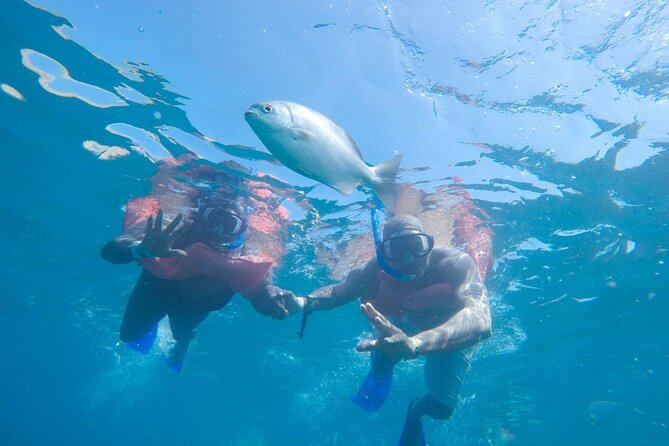 Snorkel in Luxury Sailing Boat + Food and Premium drink! - Price and Logistics: Is $200 Good Value Here?