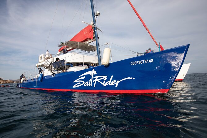 Snorkel, Lunch & Sail in Cabo San Lucas - Cruising Land’s End: Pelican Rock, Lover’s Beach, Neptune’s Finger
