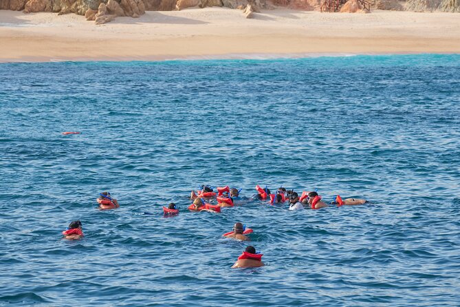 Snorkel & Sunset Sail in Cabo San Lucas - How to make the snorkeling portion more enjoyable