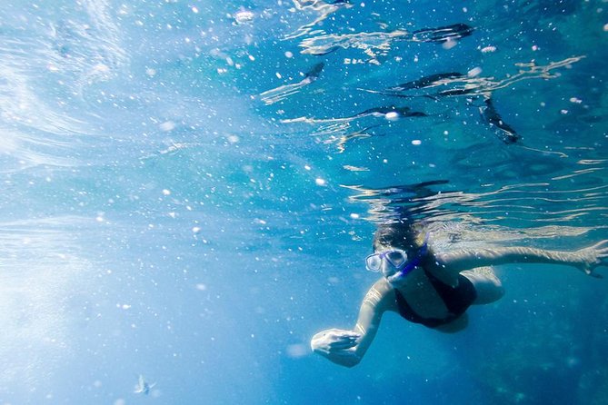 Snorkel Tour and Glass-Bottom Boat Ride in Cabo San Lucas - Stop-by-stop: how the time is spent