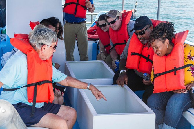 Snorkel Tour and Glass-Bottom Boat Ride in Cabo San Lucas - Lunch on the water: simple, filling, and included