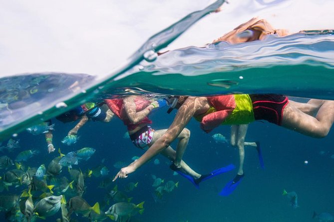 Snorkel Tour and Glass-Bottom Boat Ride in Cabo San Lucas - The glass-bottom boat ride to El Arco and beyond