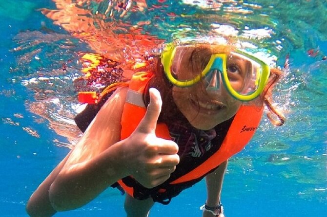 Snorkel with whale sharks includes equipment & transportation - Whale Sharks in the Sea of Cortez: What This Trip Really Delivers