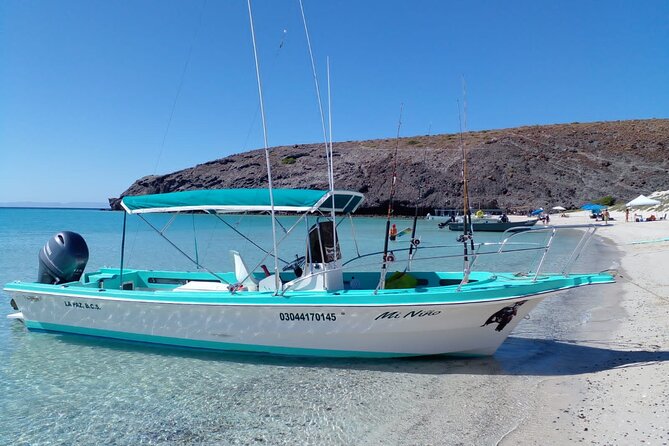 Snorkel with whale sharks includes equipment & transportation - The Boat Phase: Breakfast, Gear, and the Snorkel Rhythm