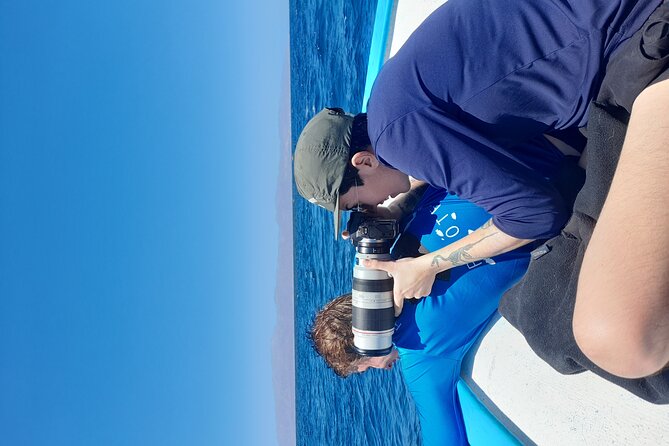 Snorkel with whale sharks includes equipment & transportation - Stop: Cabo San Lucas Beach and the Arch Moment