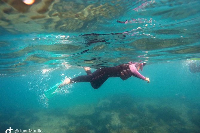 Snorkeling Adventure Cabo Pulmo - What happens in your ~3-hour snorkeling session