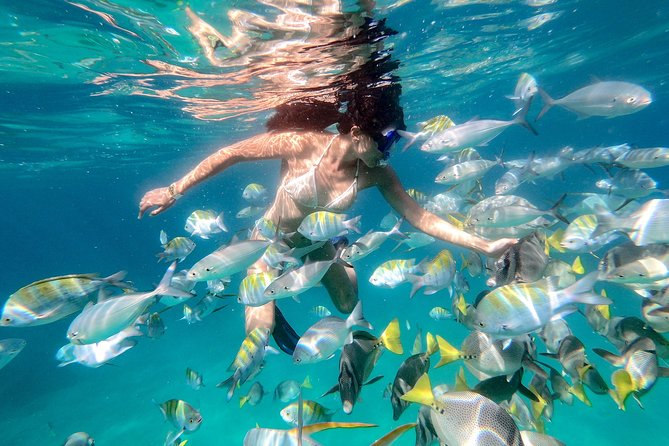 Snorkeling at Pelicans Rock - Glass-bottom boat time is the warm-up your trip needs