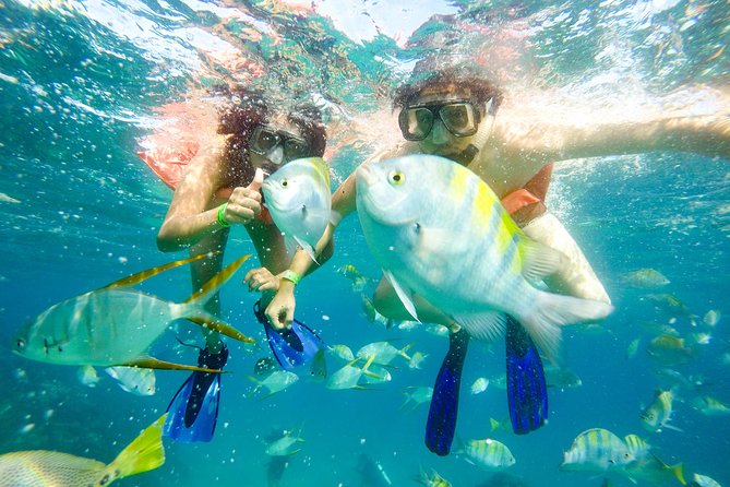Snorkeling at Pelicans Rock - Guides and captains: why clear instructions matter