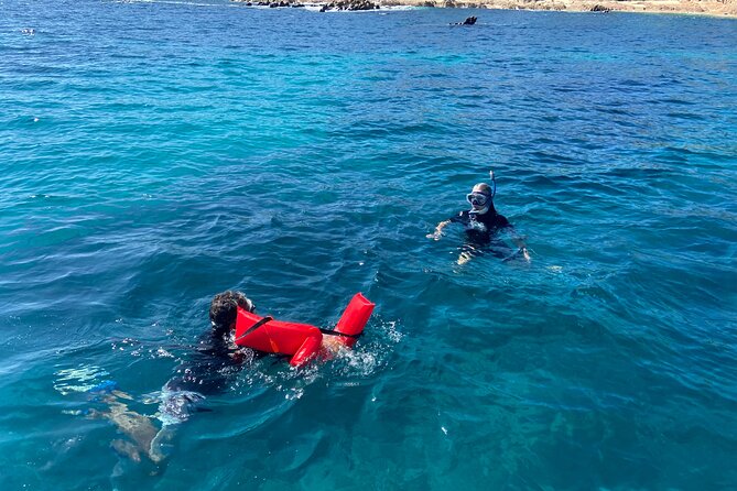 Snorkeling en San José del Cabo , Lunch , Snack , Drinks - Key Highlights You’ll Care About