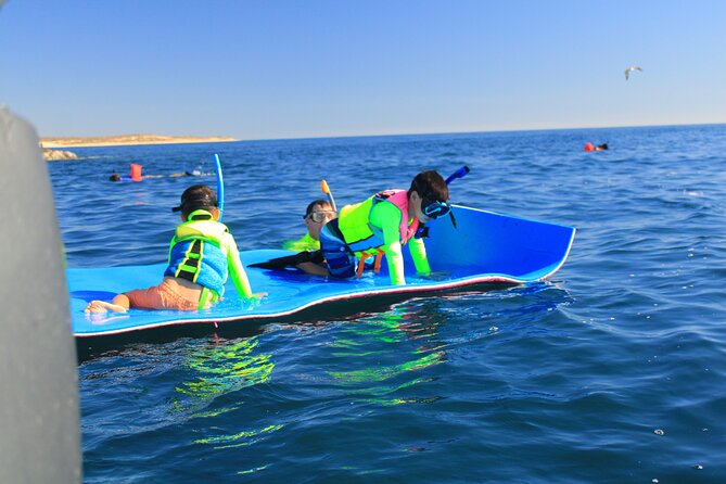 Snorkeling en San José del Cabo , Lunch , Snack , Drinks - First Snorkeling Stop: Coral Reefs and the Fish Show