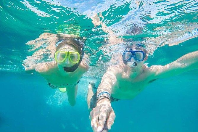 Snorkeling in Cabo San Lucas on 35' Sea Amore Trimaran - Key highlights at a glance