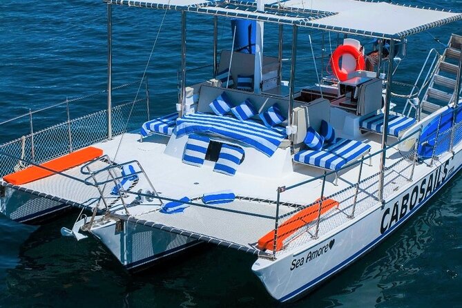 Snorkeling in Cabo San Lucas on 35' Sea Amore Trimaran - Price and value: what $990 per group buys you