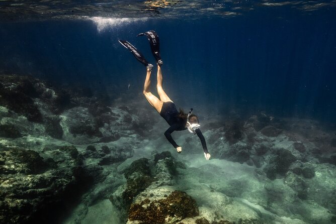 Snorkeling in San Jose del Cabo - Who this snorkeling trip fits best (and who should think twice)