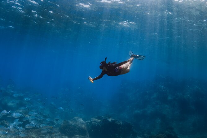 Snorkeling in San Jose del Cabo - The “comfort first” snorkeling style: what you should expect to see