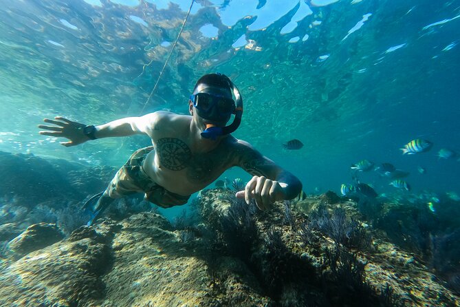 Snorkeling On Chilean Beach Transportation And Drinks Included - Transportation, Gear, and What You Don’t Have to Bring