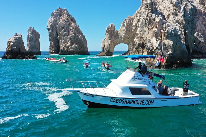 Snorkeling or Swimming with Sharks in Cabo San Lucas - Group Size, Boat Comfort, and Motion Sickness Tips