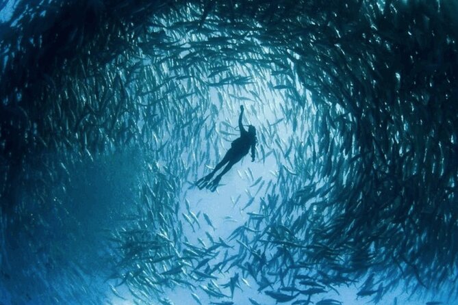 Snorkeling Tour at Land's End in Cabo San Lucas - How the Trip Flows: From ME by Meliá to Pelican Rock