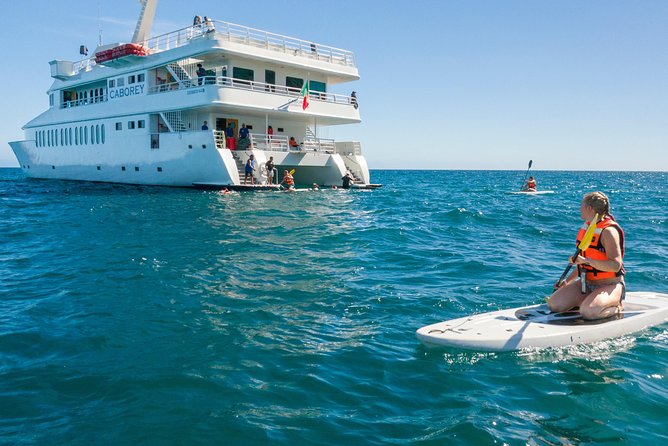 Snorkeling tour in Cabo San Lucas - Chileno Bay Snorkeling and El Arco Views in 3 Hours