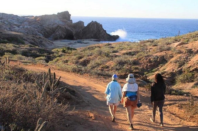 Sunrise Guided Desert Hike in Los Cabos - Group Size, Language, and Photo Add-Ons