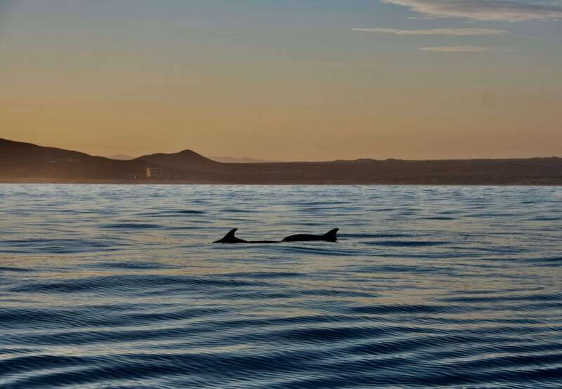 Sunset Cruise in San Jose del Cabo - The Two-Hour Sunset Timing That Actually Works