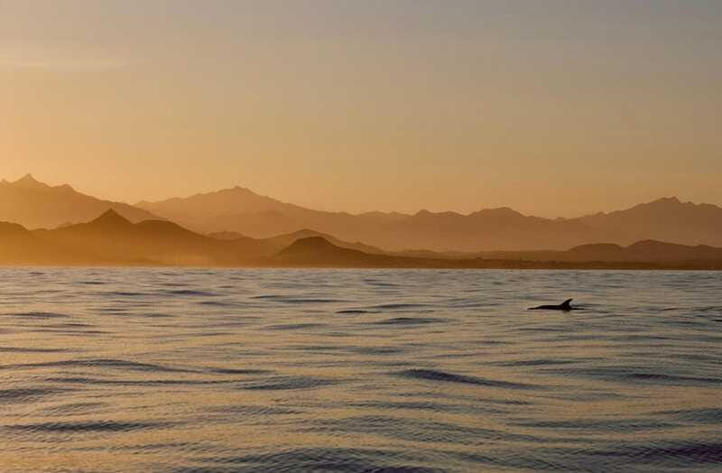 Sunset Cruise in San Jose del Cabo - A Good Fit for Your Trip Style (And When It Isn’t)