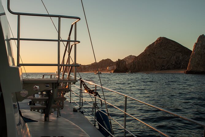 Sunset Cruise Tequila Tasting - Cruising the Los Cabos bays: scenery, sea life possibilities, and wind reality