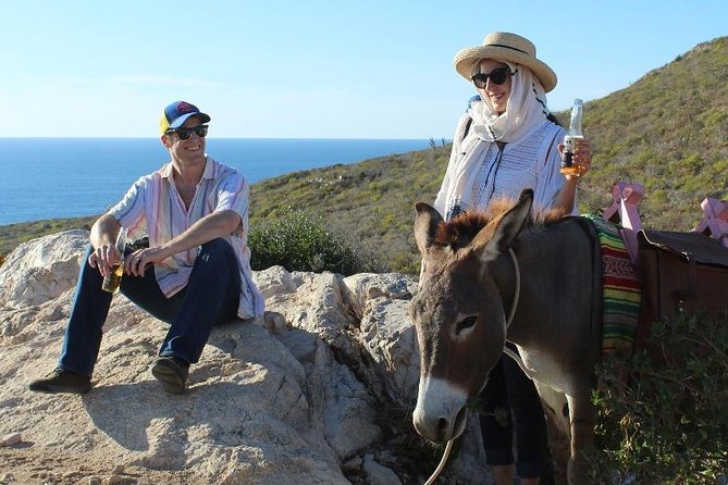 Sunset Pacific Donkey Hiking Tour - Quick take: what makes this donkey tour worth your time